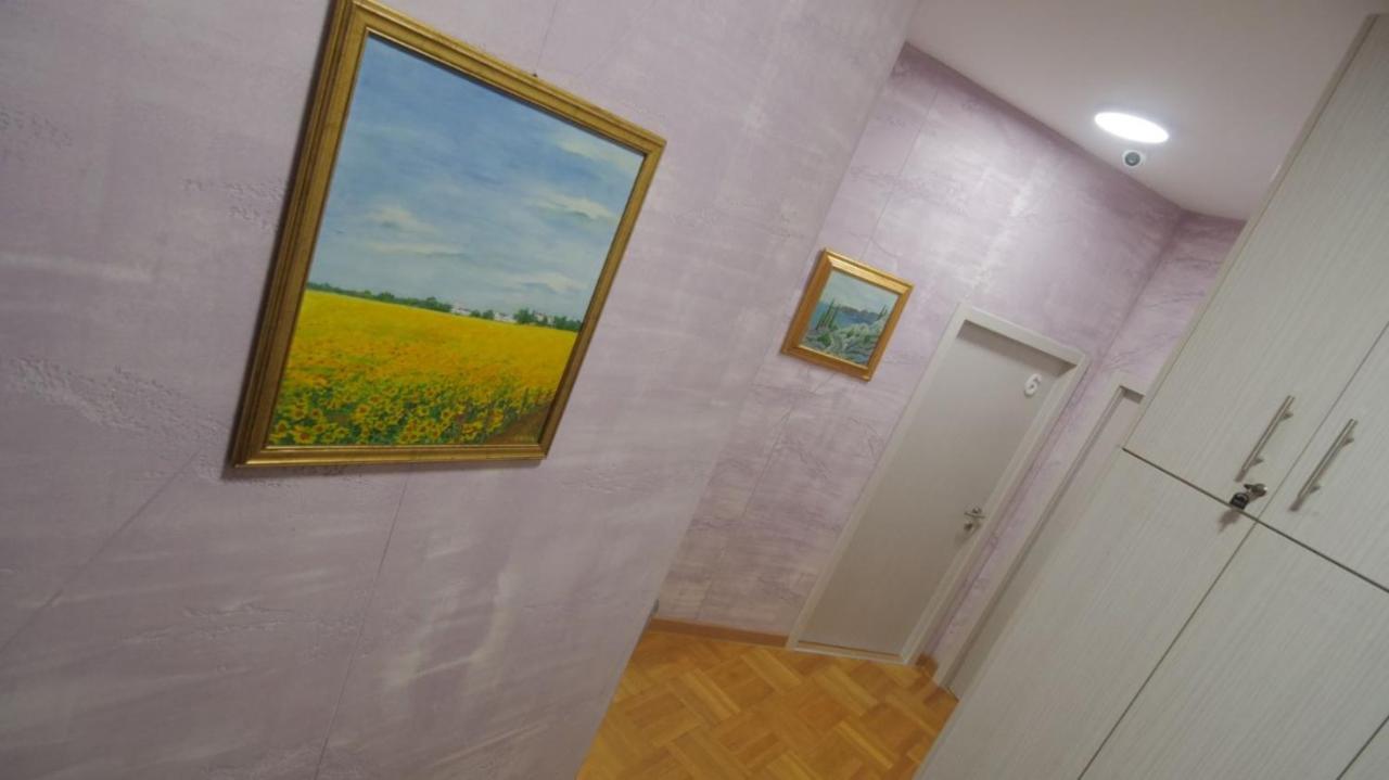 Stella Di Notte Vip Pansiyon Belgrad Dış mekan fotoğraf