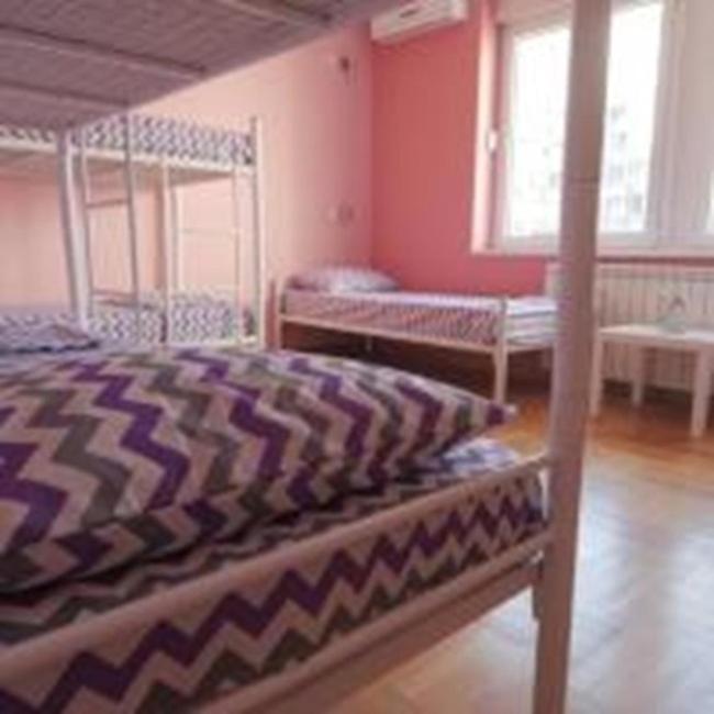 Stella Di Notte Vip Pansiyon Belgrad Dış mekan fotoğraf